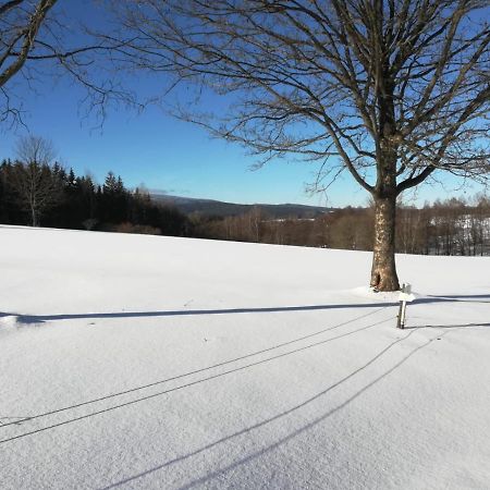 Fahrenbach-Alm Apartman Tröstau Kültér fotó