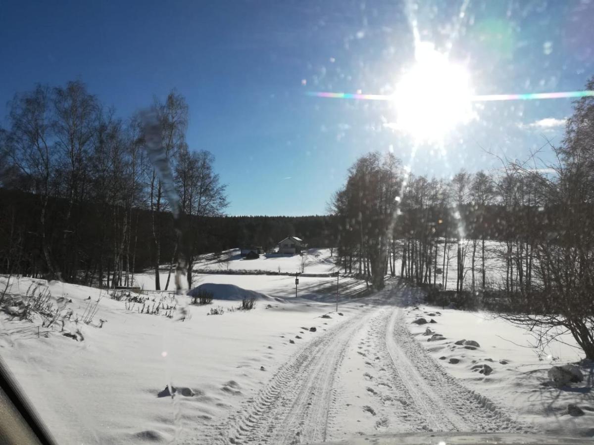 Fahrenbach-Alm Apartman Tröstau Kültér fotó