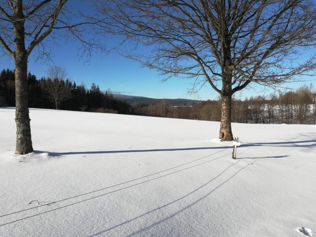 Fahrenbach-Alm Apartman Tröstau Kültér fotó